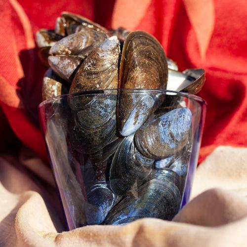 Hands holding a glass of mussels.